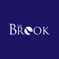 The Brook - Youth